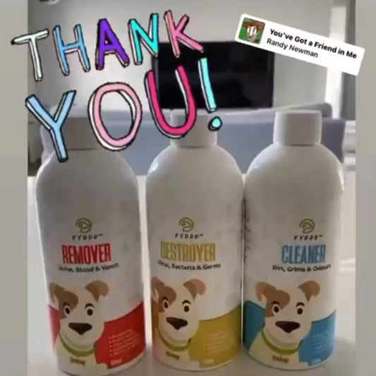 “Best Products On The Market”