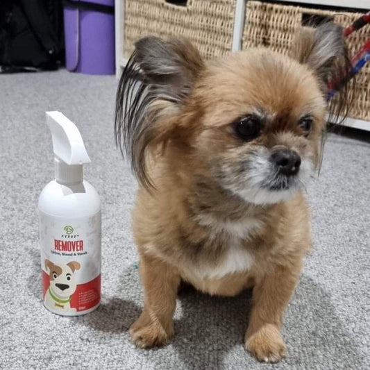 “Stains Are Gone”