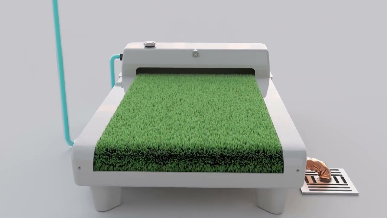 Tired of all the mess, smells & costs that come with traditional dog